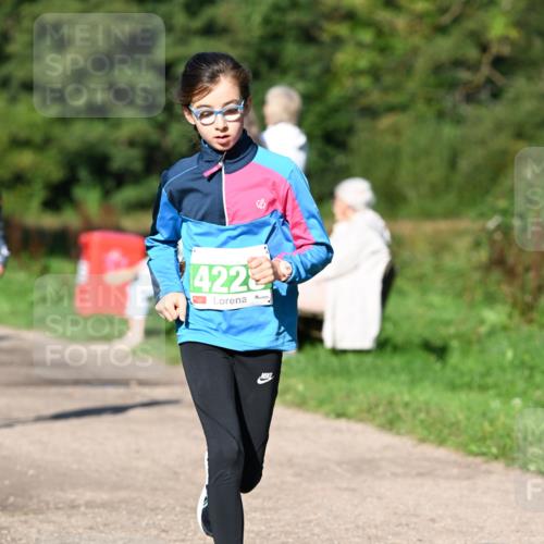 27.09.2026 - 35. Volkslauf durch das schöne Alstertal Dr. Thomas Lammeyer http://msf.ph/oto/10566239 27.09.2026 10:39:41 Laufen 4225 meine-sportfotos.de
