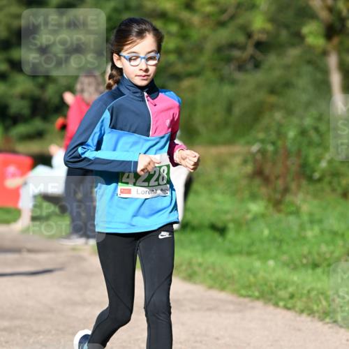 27.09.2026 - 35. Volkslauf durch das schöne Alstertal Dr. Thomas Lammeyer http://msf.ph/oto/10566242 27.09.2026 10:39:42 Laufen 4228 meine-sportfotos.de
