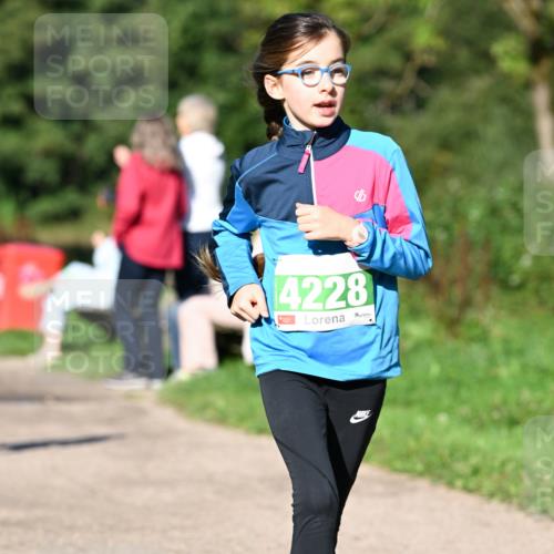 27.09.2026 - 35. Volkslauf durch das schöne Alstertal Dr. Thomas Lammeyer http://msf.ph/oto/10566244 27.09.2026 10:39:42 Laufen 4228 meine-sportfotos.de