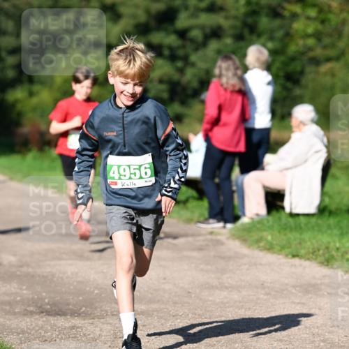 27.09.2026 - 35. Volkslauf durch das schöne Alstertal Dr. Thomas Lammeyer http://msf.ph/oto/10566251 27.09.2026 10:39:44 Laufen 4956 meine-sportfotos.de