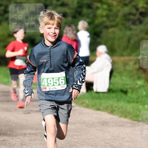 27.09.2026 - 35. Volkslauf durch das schöne Alstertal Dr. Thomas Lammeyer http://msf.ph/oto/10566258 27.09.2026 10:39:44 Laufen 4956 meine-sportfotos.de