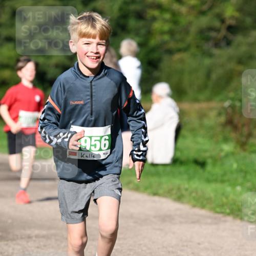 27.09.2026 - 35. Volkslauf durch das schöne Alstertal Dr. Thomas Lammeyer http://msf.ph/oto/10566259 27.09.2026 10:39:45 Laufen 956 meine-sportfotos.de