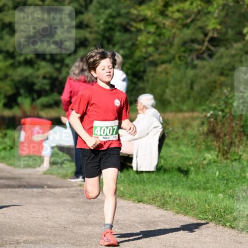 27.09.2026 - 35. Volkslauf durch das schöne Alstertal Dr. Thomas Lammeyer http://msf.ph/oto/10566265 27.09.2026 10:39:46 Laufen  meine-sportfotos.de
