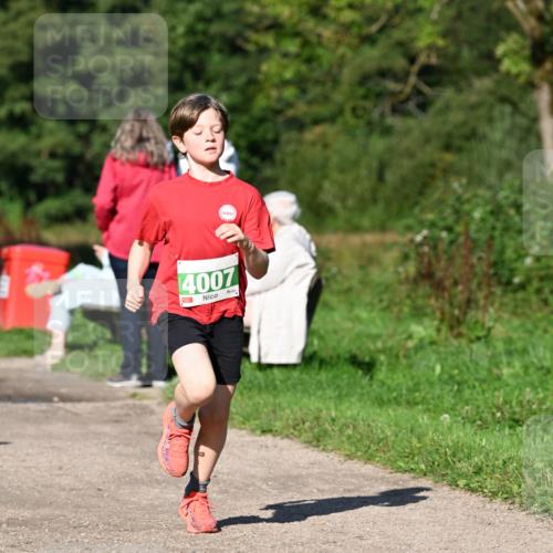 27.09.2026 - 35. Volkslauf durch das schöne Alstertal Dr. Thomas Lammeyer http://msf.ph/oto/10566266 27.09.2026 10:39:46 Laufen 4007 meine-sportfotos.de