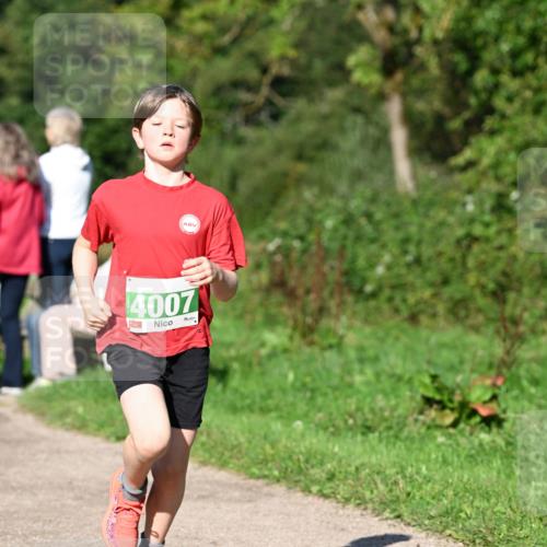 27.09.2026 - 35. Volkslauf durch das schöne Alstertal Dr. Thomas Lammeyer http://msf.ph/oto/10566273 27.09.2026 10:39:47 Laufen 4007 meine-sportfotos.de
