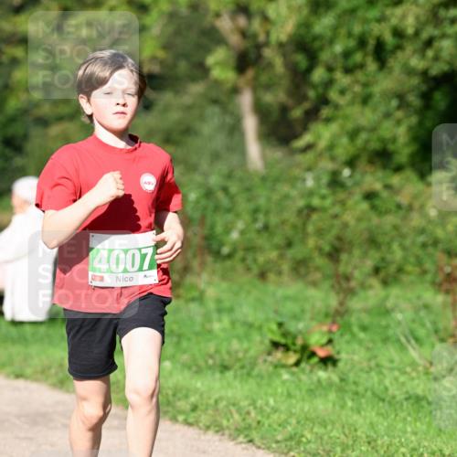 27.09.2026 - 35. Volkslauf durch das schöne Alstertal Dr. Thomas Lammeyer http://msf.ph/oto/10566276 27.09.2026 10:39:47 Laufen  meine-sportfotos.de