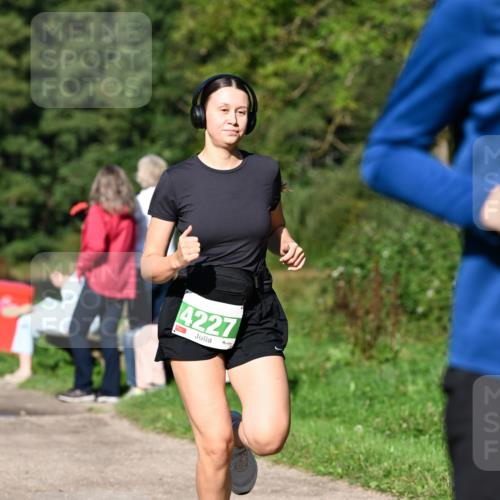 27.09.2026 - 35. Volkslauf durch das schöne Alstertal Dr. Thomas Lammeyer http://msf.ph/oto/10566311 27.09.2026 10:39:53 Laufen 4227 meine-sportfotos.de