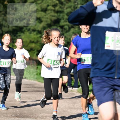 27.09.2026 - 35. Volkslauf durch das schöne Alstertal Dr. Thomas Lammeyer http://msf.ph/oto/10566336 27.09.2026 10:39:57 Laufen 14144, 4162, 207, 4143 meine-sportfotos.de