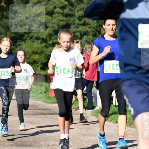 27.09.2026 - 35. Volkslauf durch das schöne Alstertal Dr. Thomas Lammeyer http://msf.ph/oto/10566338 27.09.2026 10:39:57 Laufen 4162, 4207, 41431, 4144 meine-sportfotos.de
