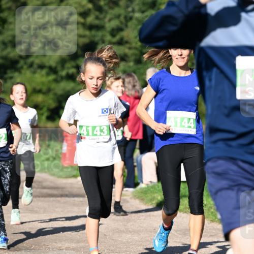 27.09.2026 - 35. Volkslauf durch das schöne Alstertal Dr. Thomas Lammeyer http://msf.ph/oto/10566339 27.09.2026 10:39:57 Laufen 4144, 52, 4143 meine-sportfotos.de