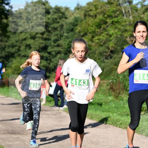 27.09.2026 - 35. Volkslauf durch das schöne Alstertal Dr. Thomas Lammeyer http://msf.ph/oto/10566346 27.09.2026 10:39:58 Laufen 4162, 414, 4143 meine-sportfotos.de