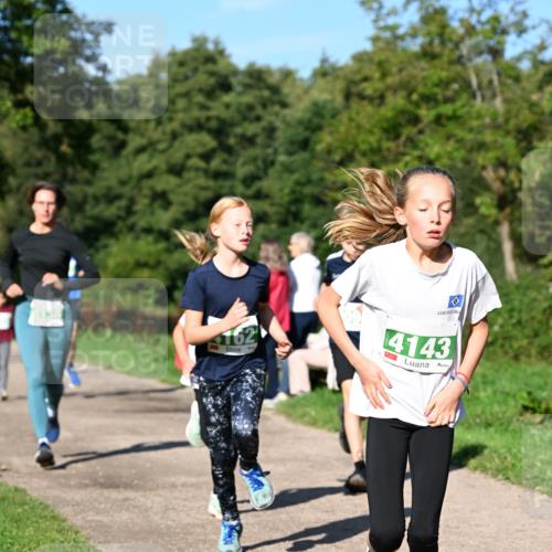 27.09.2026 - 35. Volkslauf durch das schöne Alstertal Dr. Thomas Lammeyer http://msf.ph/oto/10566349 27.09.2026 10:39:59 Laufen 162, 4143 meine-sportfotos.de