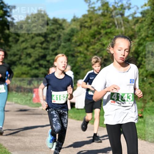 27.09.2026 - 35. Volkslauf durch das schöne Alstertal Dr. Thomas Lammeyer http://msf.ph/oto/10566351 27.09.2026 10:39:59 Laufen 4162, 4143 meine-sportfotos.de