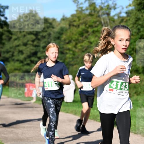27.09.2026 - 35. Volkslauf durch das schöne Alstertal Dr. Thomas Lammeyer http://msf.ph/oto/10566352 27.09.2026 10:40:00 Laufen 4162, 4143 meine-sportfotos.de