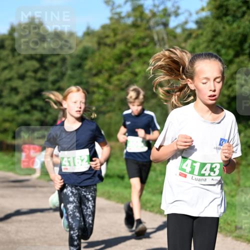 27.09.2026 - 35. Volkslauf durch das schöne Alstertal Dr. Thomas Lammeyer http://msf.ph/oto/10566354 27.09.2026 10:40:00 Laufen 4162, 4143 meine-sportfotos.de