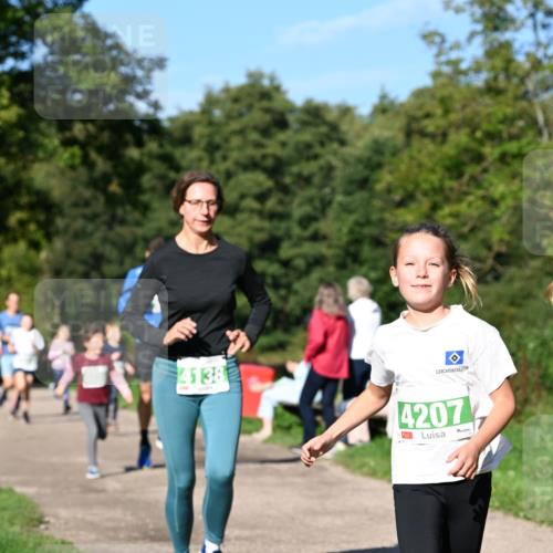 27.09.2026 - 35. Volkslauf durch das schöne Alstertal Dr. Thomas Lammeyer http://msf.ph/oto/10566359 27.09.2026 10:40:01 Laufen 4138, 4207 meine-sportfotos.de