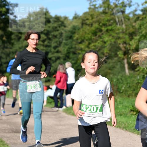 27.09.2026 - 35. Volkslauf durch das schöne Alstertal Dr. Thomas Lammeyer http://msf.ph/oto/10566360 27.09.2026 10:40:01 Laufen 4138, 4207 meine-sportfotos.de