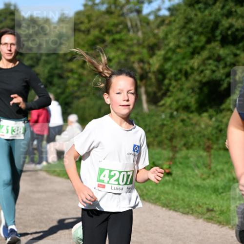 27.09.2026 - 35. Volkslauf durch das schöne Alstertal Dr. Thomas Lammeyer http://msf.ph/oto/10566361 27.09.2026 10:40:01 Laufen 4138, 4207 meine-sportfotos.de
