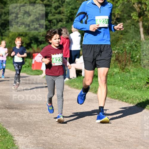 27.09.2026 - 35. Volkslauf durch das schöne Alstertal Dr. Thomas Lammeyer http://msf.ph/oto/10566375 27.09.2026 10:40:04 Laufen 423, 4231 meine-sportfotos.de