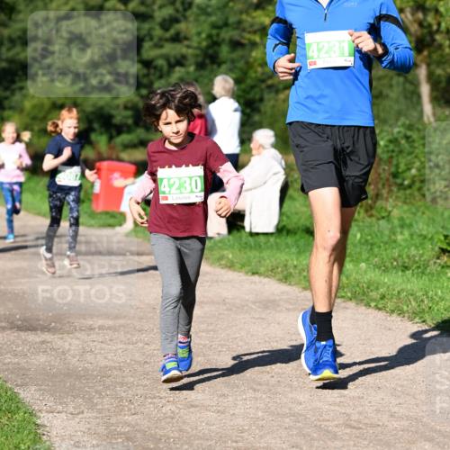 27.09.2026 - 35. Volkslauf durch das schöne Alstertal Dr. Thomas Lammeyer http://msf.ph/oto/10566377 27.09.2026 10:40:04 Laufen 4230, 4231 meine-sportfotos.de