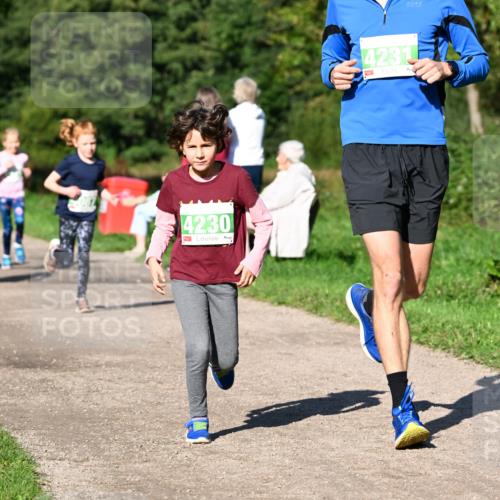 27.09.2026 - 35. Volkslauf durch das schöne Alstertal Dr. Thomas Lammeyer http://msf.ph/oto/10566378 27.09.2026 10:40:04 Laufen 4230, 4231 meine-sportfotos.de