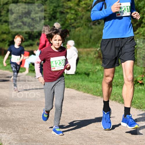 27.09.2026 - 35. Volkslauf durch das schöne Alstertal Dr. Thomas Lammeyer http://msf.ph/oto/10566381 27.09.2026 10:40:05 Laufen 4230, 231 meine-sportfotos.de