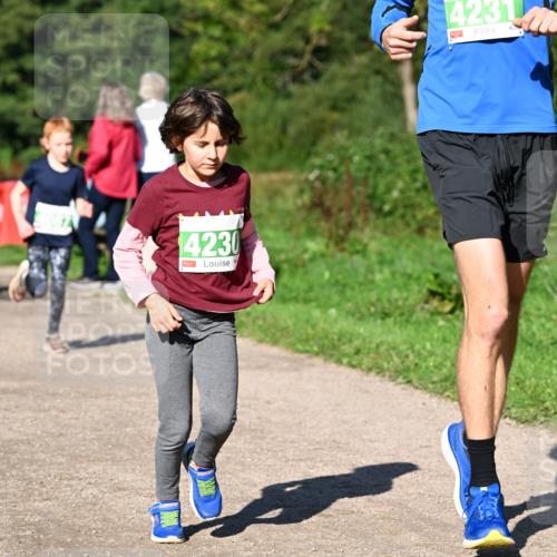 27.09.2026 - 35. Volkslauf durch das schöne Alstertal Dr. Thomas Lammeyer http://msf.ph/oto/10566385 27.09.2026 10:40:05 Laufen 4230, 4231 meine-sportfotos.de