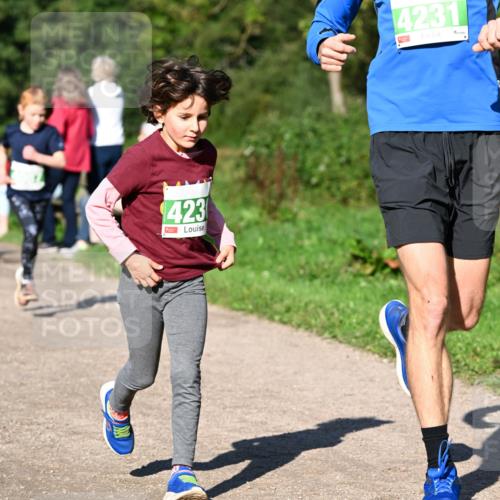 27.09.2026 - 35. Volkslauf durch das schöne Alstertal Dr. Thomas Lammeyer http://msf.ph/oto/10566386 27.09.2026 10:40:05 Laufen 423, 4231 meine-sportfotos.de