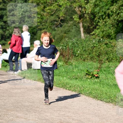 27.09.2026 - 35. Volkslauf durch das schöne Alstertal Dr. Thomas Lammeyer http://msf.ph/oto/10566393 27.09.2026 10:40:06 Laufen  meine-sportfotos.de