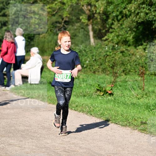 27.09.2026 - 35. Volkslauf durch das schöne Alstertal Dr. Thomas Lammeyer http://msf.ph/oto/10566397 27.09.2026 10:40:07 Laufen 87 meine-sportfotos.de