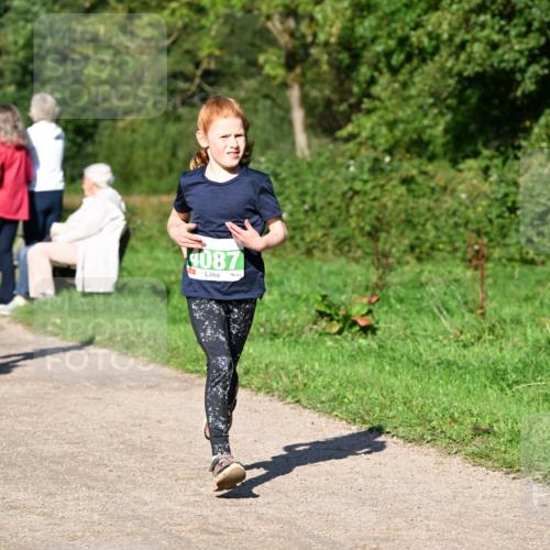 27.09.2026 - 35. Volkslauf durch das schöne Alstertal Dr. Thomas Lammeyer http://msf.ph/oto/10566398 27.09.2026 10:40:07 Laufen 4087 meine-sportfotos.de