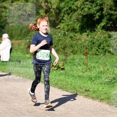 27.09.2026 - 35. Volkslauf durch das schöne Alstertal Dr. Thomas Lammeyer http://msf.ph/oto/10566401 27.09.2026 10:40:07 Laufen 4087 meine-sportfotos.de
