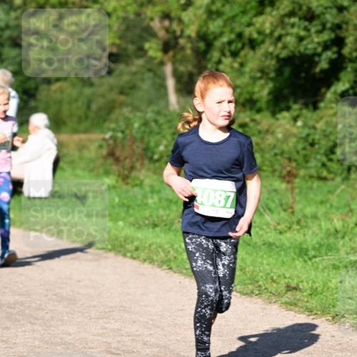 27.09.2026 - 35. Volkslauf durch das schöne Alstertal Dr. Thomas Lammeyer http://msf.ph/oto/10566405 27.09.2026 10:40:08 Laufen 1087 meine-sportfotos.de