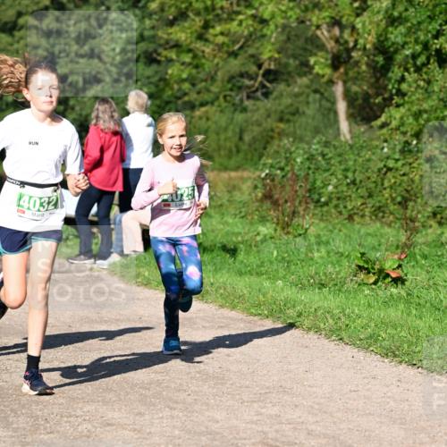 27.09.2026 - 35. Volkslauf durch das schöne Alstertal Dr. Thomas Lammeyer http://msf.ph/oto/10566406 27.09.2026 10:40:08 Laufen 4032 meine-sportfotos.de