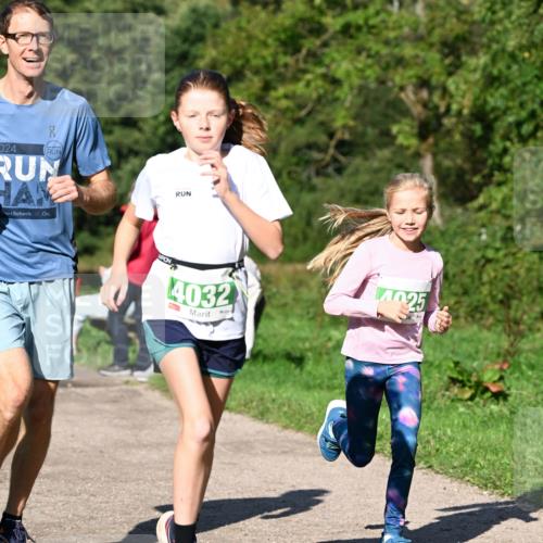 27.09.2026 - 35. Volkslauf durch das schöne Alstertal Dr. Thomas Lammeyer http://msf.ph/oto/10566411 27.09.2026 10:40:09 Laufen  meine-sportfotos.de