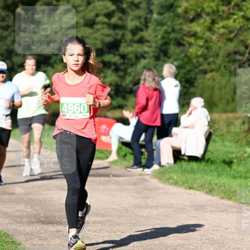 27.09.2026 - 35. Volkslauf durch das schöne Alstertal Dr. Thomas Lammeyer http://msf.ph/oto/10566421 27.09.2026 10:40:12 Laufen 4960 meine-sportfotos.de