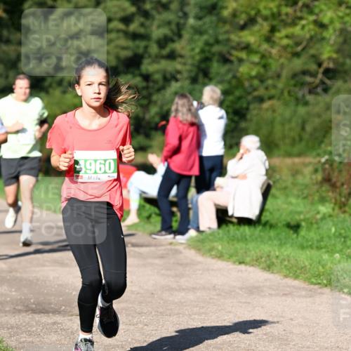 27.09.2026 - 35. Volkslauf durch das schöne Alstertal Dr. Thomas Lammeyer http://msf.ph/oto/10566423 27.09.2026 10:40:12 Laufen 1960 meine-sportfotos.de
