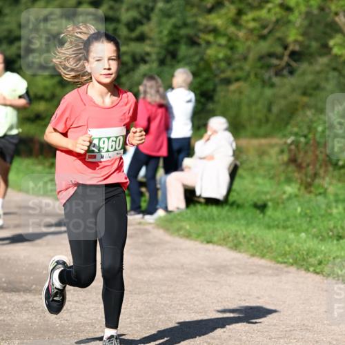 27.09.2026 - 35. Volkslauf durch das schöne Alstertal Dr. Thomas Lammeyer http://msf.ph/oto/10566425 27.09.2026 10:40:12 Laufen 4960 meine-sportfotos.de