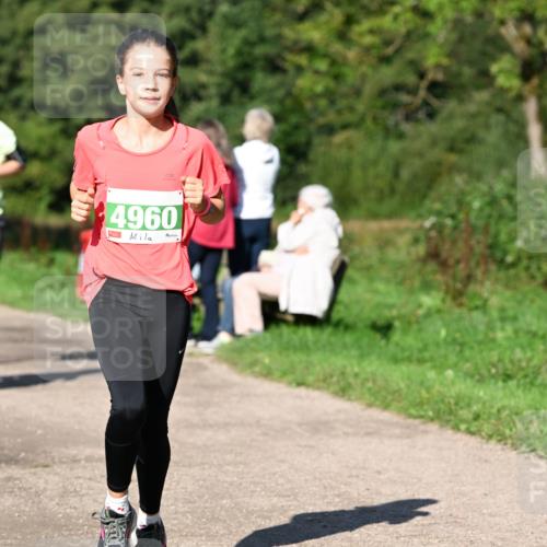 27.09.2026 - 35. Volkslauf durch das schöne Alstertal Dr. Thomas Lammeyer http://msf.ph/oto/10566426 27.09.2026 10:40:12 Laufen 4960 meine-sportfotos.de