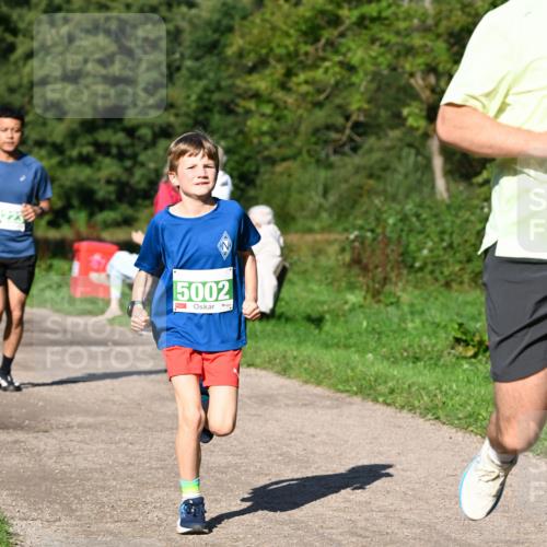 27.09.2026 - 35. Volkslauf durch das schöne Alstertal Dr. Thomas Lammeyer http://msf.ph/oto/10566462 27.09.2026 10:40:17 Laufen 5002 meine-sportfotos.de