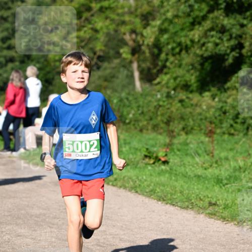 27.09.2026 - 35. Volkslauf durch das schöne Alstertal Dr. Thomas Lammeyer http://msf.ph/oto/10566468 27.09.2026 10:40:18 Laufen 5002 meine-sportfotos.de