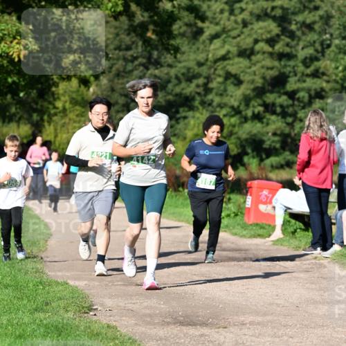 27.09.2026 - 35. Volkslauf durch das schöne Alstertal Dr. Thomas Lammeyer http://msf.ph/oto/10566486 27.09.2026 10:40:21 Laufen 4221 meine-sportfotos.de