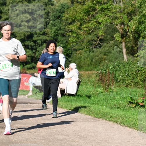 27.09.2026 - 35. Volkslauf durch das schöne Alstertal Dr. Thomas Lammeyer http://msf.ph/oto/10566498 27.09.2026 10:40:23 Laufen 4142, 167, 187 meine-sportfotos.de