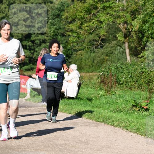 27.09.2026 - 35. Volkslauf durch das schöne Alstertal Dr. Thomas Lammeyer http://msf.ph/oto/10566499 27.09.2026 10:40:23 Laufen 167, 4187 meine-sportfotos.de