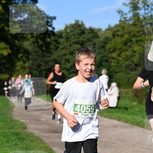 27.09.2026 - 35. Volkslauf durch das schöne Alstertal Dr. Thomas Lammeyer http://msf.ph/oto/10566520 27.09.2026 10:40:27 Laufen 4059 meine-sportfotos.de