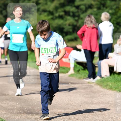 27.09.2026 - 35. Volkslauf durch das schöne Alstertal Dr. Thomas Lammeyer http://msf.ph/oto/10566546 27.09.2026 10:40:31 Laufen 4109 meine-sportfotos.de