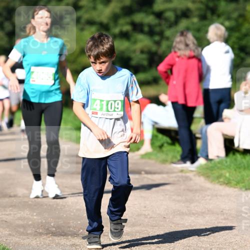 27.09.2026 - 35. Volkslauf durch das schöne Alstertal Dr. Thomas Lammeyer http://msf.ph/oto/10566547 27.09.2026 10:40:31 Laufen 4109 meine-sportfotos.de
