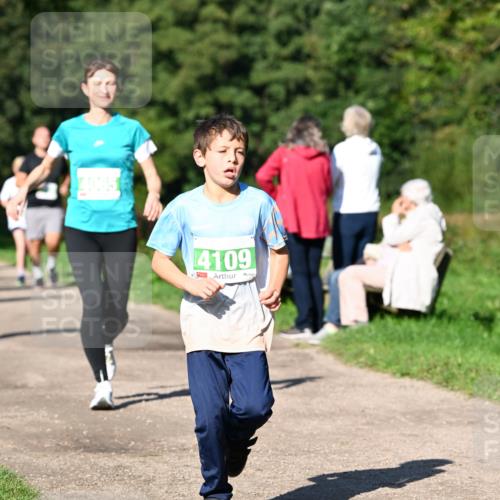 27.09.2026 - 35. Volkslauf durch das schöne Alstertal Dr. Thomas Lammeyer http://msf.ph/oto/10566552 27.09.2026 10:40:32 Laufen  meine-sportfotos.de