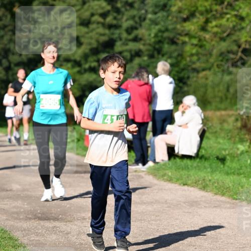 27.09.2026 - 35. Volkslauf durch das schöne Alstertal Dr. Thomas Lammeyer http://msf.ph/oto/10566554 27.09.2026 10:40:32 Laufen 410 meine-sportfotos.de