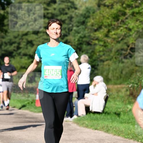 27.09.2026 - 35. Volkslauf durch das schöne Alstertal Dr. Thomas Lammeyer http://msf.ph/oto/10566565 27.09.2026 10:40:34 Laufen 4065 meine-sportfotos.de